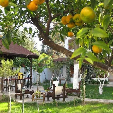 Lejlighedshotel Kontes Apart *